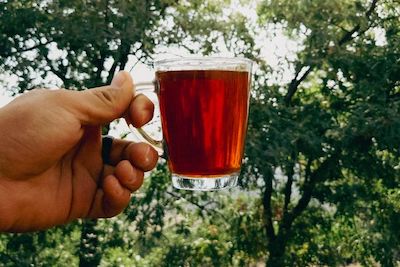 Rooibos en bloeddruk: wat zegt het onderzoek?
