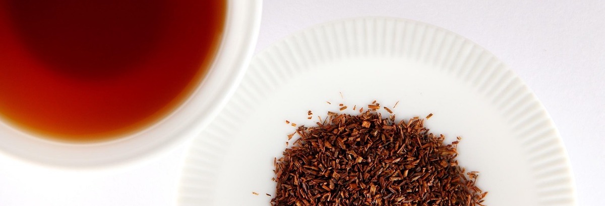 rooibos thee kopen